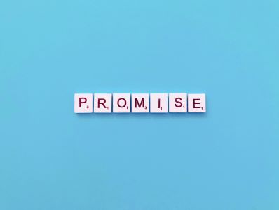 Promise Logo